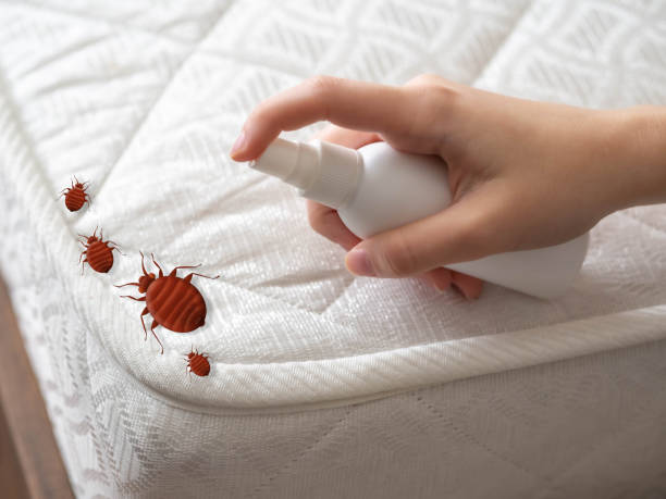 Pest Prevention Services in West Baraboo, WI